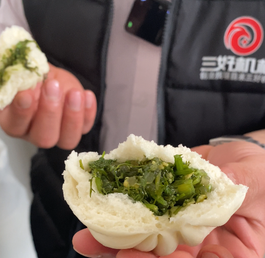 Why can't the multi-functional steamed bun machine make quick-frozen steamed buns? What should I do if I want to make frozen steamed buns?