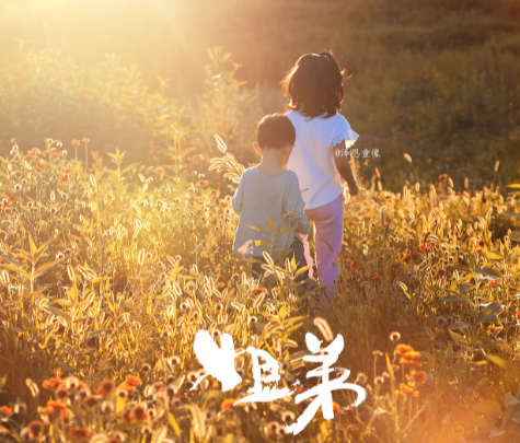 What kind of dumpling machine can make Lao Tie laid off?